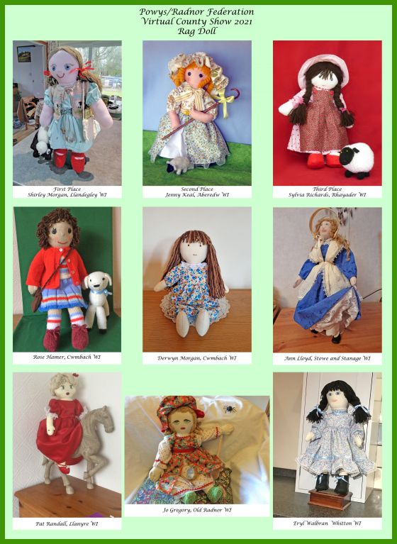 Rag Doll image not available